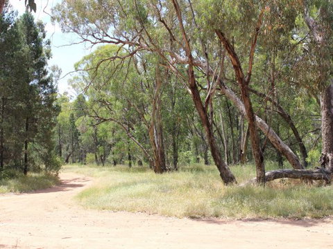 Bumberry Dam - Accommodation ACT 3