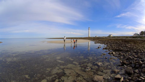 Point Lowly Lighthouse Cottages - Accommodation ACT 4