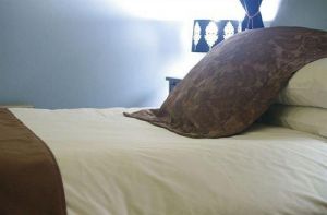 Mount Victoria Manor - Accommodation ACT 0