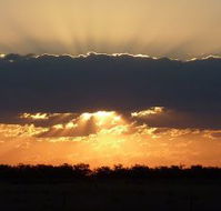 Collie Hotel - Accommodation ACT