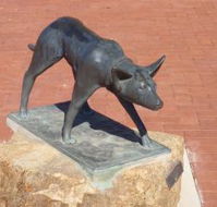 The Ardlethan Kelpie Caravan Park - Accommodation ACT