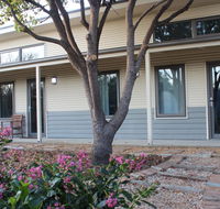 The Grape and Olive in Willunga - Accommodation ACT