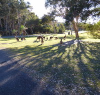 Little Bay Cottage - Accommodation ACT