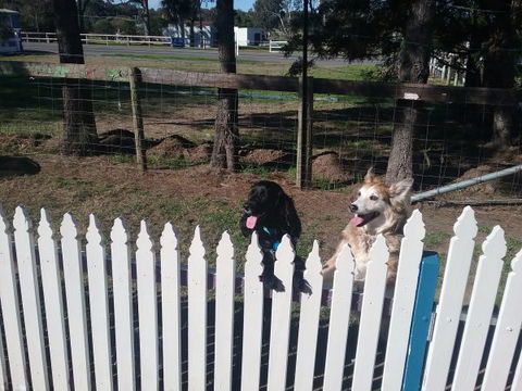 Wine Country Tourist Park - Accommodation ACT 2