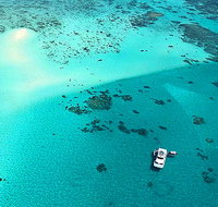 Cairns Premier Reef and Island Tours - Ocean Free  Ocean Freedom - Accommodation ACT
