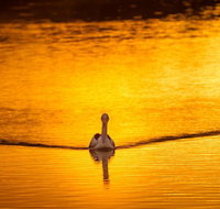 River Shack Rentals - Living the Dream - Accommodation ACT