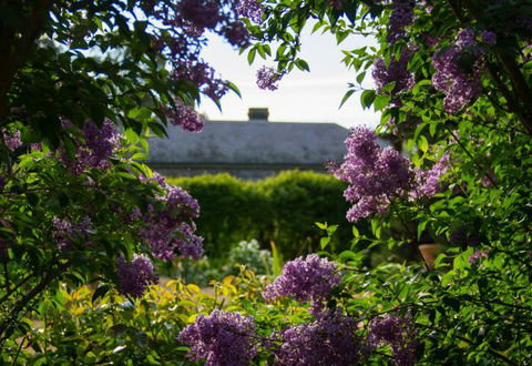 Eurambeen Historic Homestead And Gardens - Accommodation ACT 1