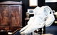 AAADA Antiques & Art Fair Sydney - thumb 7