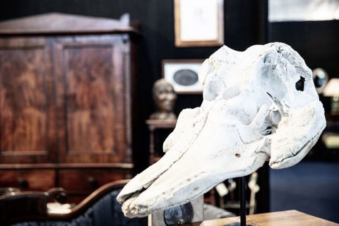 AAADA Antiques & Art Fair Sydney - Accommodation ACT 7