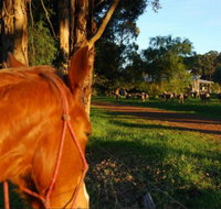 Billa Billa Farm Cottages - Accommodation ACT