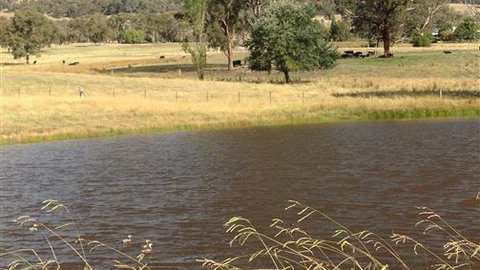 Black Horse Park - Accommodation ACT 4