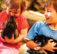 Macka's Farm - Accommodation ACT