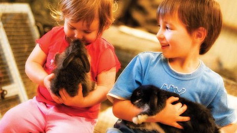 Macka's Farm - Accommodation ACT 0