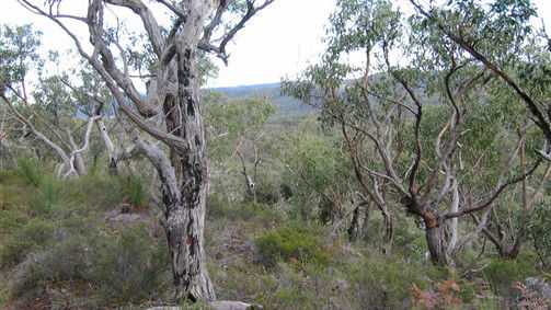 Olney NSW Accommodation ACT