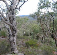The Glen - Accommodation ACT