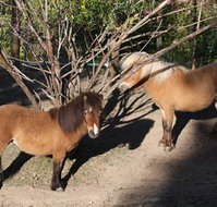 Cloud End Farmstay - Accommodation ACT