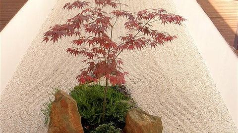 Shizuka Ryokan Japanese Country Spa & Wellness Retreat - Accommodation ACT 6