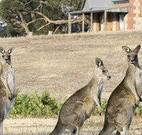 Grampians Pioneer Cottages - Accommodation ACT