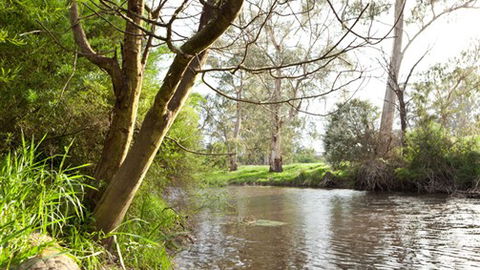 Lonsdale Park On The Yarra - Accommodation ACT 7