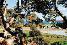 Cape Jervis Holiday Units - Accommodation ACT 1