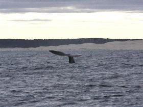 Fowlers Ocean Eco Retreat - Accommodation ACT 2