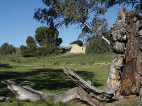 Saunders Gorge Sanctuary - Boundary Cottage - Accommodation ACT 3