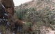 Saunders Gorge Sanctuary - Hideaway Cottage - thumb 1
