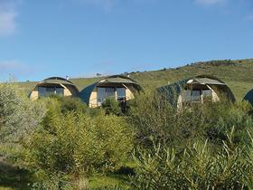 Saunders Gorge Sanctuary - Nature Lodges - Accommodation ACT 0
