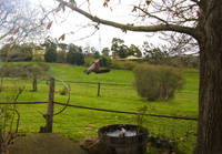 Amble Fern Studio - Accommodation ACT 1