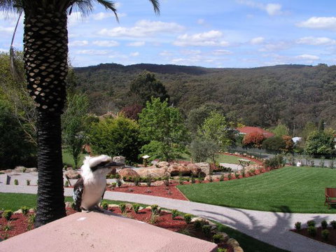 Grange Bellinzona - Accommodation ACT 4