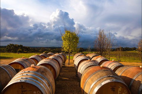 Barossa Chateau - Accommodation ACT 4