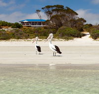Kangaroo Island Star Beach House - Accommodation ACT