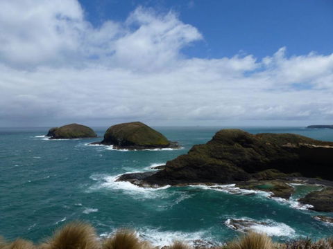 Arties Cottage Accommodation - Accommodation ACT 9