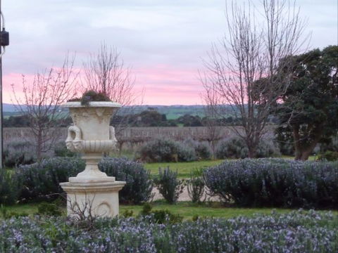 Angas Plains Wines Suites - Accommodation ACT 3