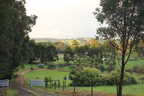 Blue House Bed And Breakfast - Accommodation ACT 1