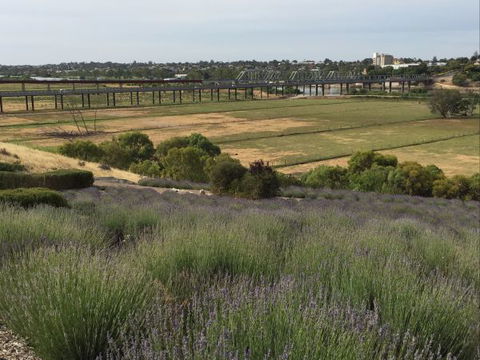 Brayfield Cottage - Accommodation ACT 1