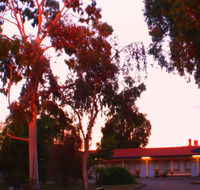 Murray Bridge Central Olympic Motel and Cottages - Accommodation ACT