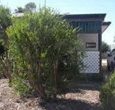 Loxton Smiffy's Bed And Breakfast Coral Street - Accommodation ACT