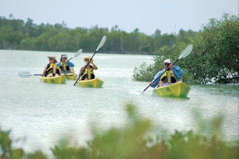Eco Beach Resort Broome - Accommodation ACT 3