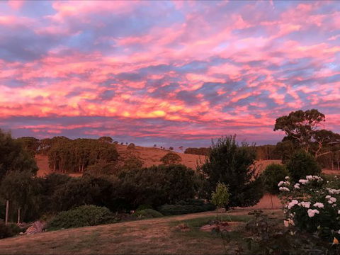 Avaleigh Elms Farmstay - Accommodation ACT 5