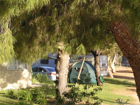 Barmera North Lake Caravan Park - Accommodation ACT 0
