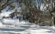 Frueauf Village - thumb 5