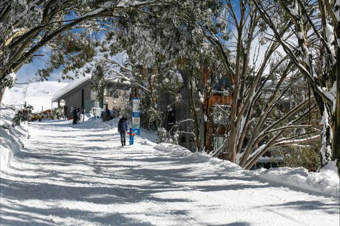 Frueauf Village - Accommodation ACT 5