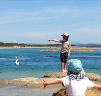 North East River Camping Ground - Accommodation ACT