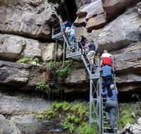 Takarakka Bush Resort Carnarvon Gorge - Accommodation ACT