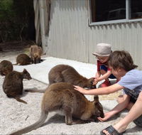 The Patriarch Wildlife Sanctuary Camping Ground - Accommodation ACT