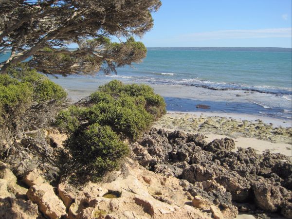 Browns Beach SA Accommodation ACT