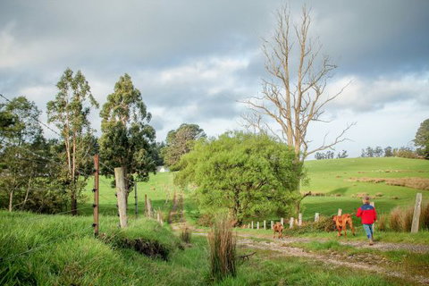 Wines For Joanie Cottage - Accommodation ACT 6