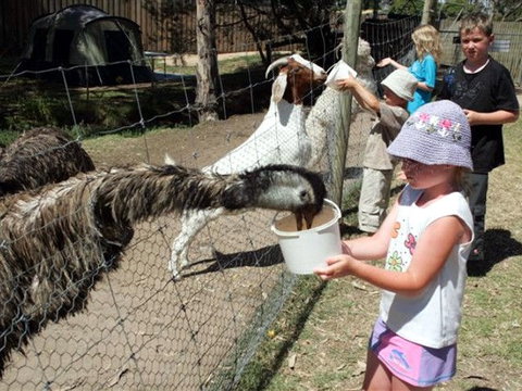 BIG4 Bairnsdale Holiday Park - Accommodation ACT 0