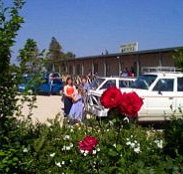 Boerbuck Country Motel  Host Farm - Accommodation ACT